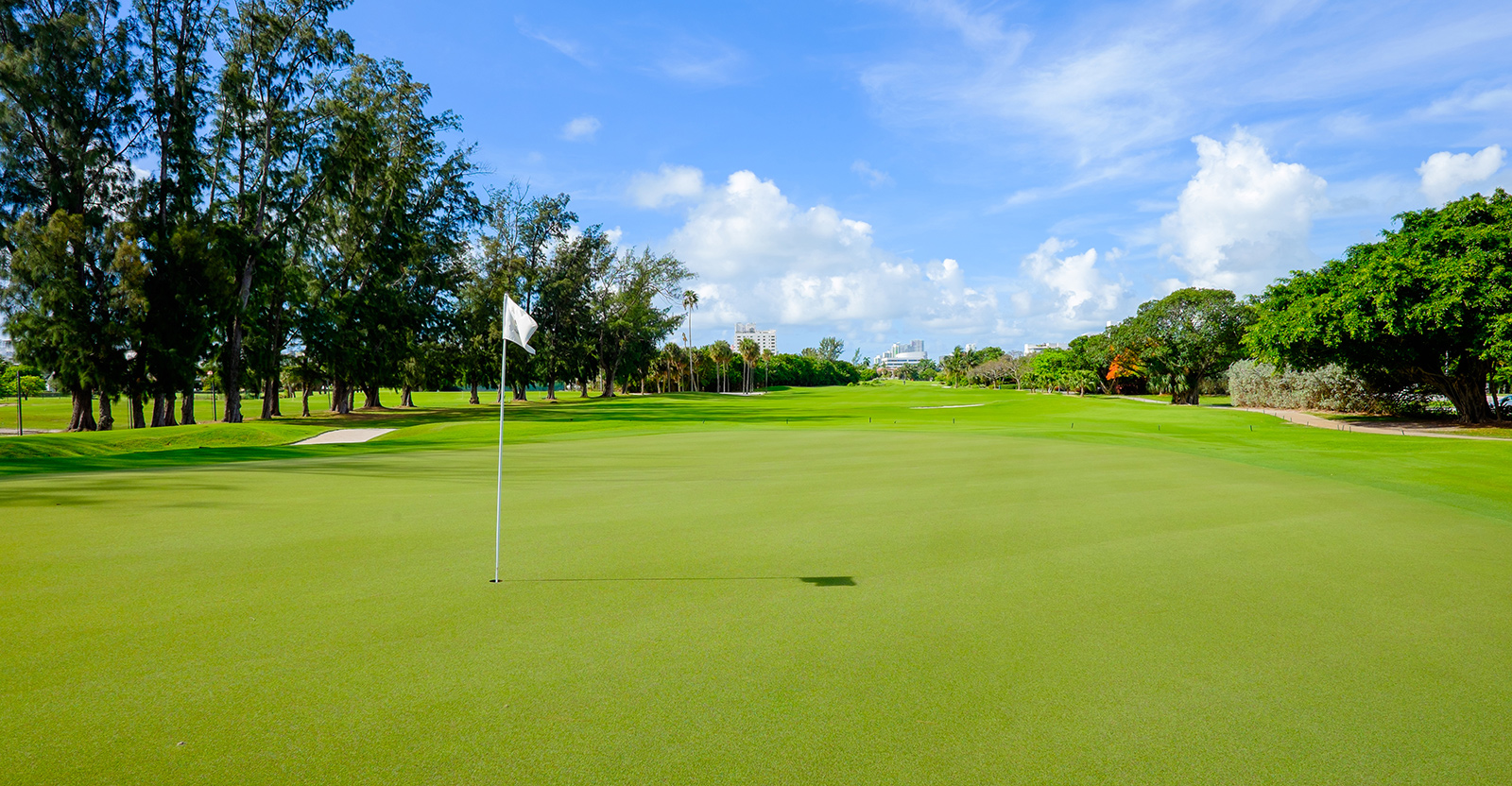 Golf green vista